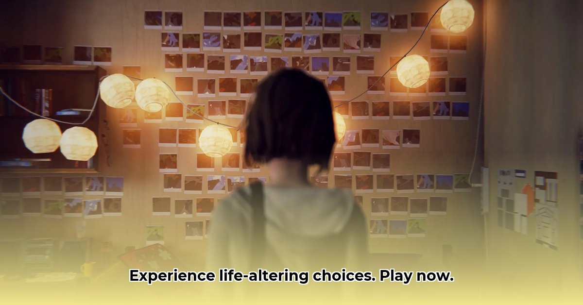 life-is-strange-ipad